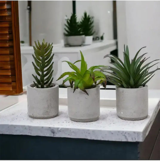 Stewehome Set 3 Bucăți Cactuși Artificiali Suculenti Modern Gri Vas Din Plastic