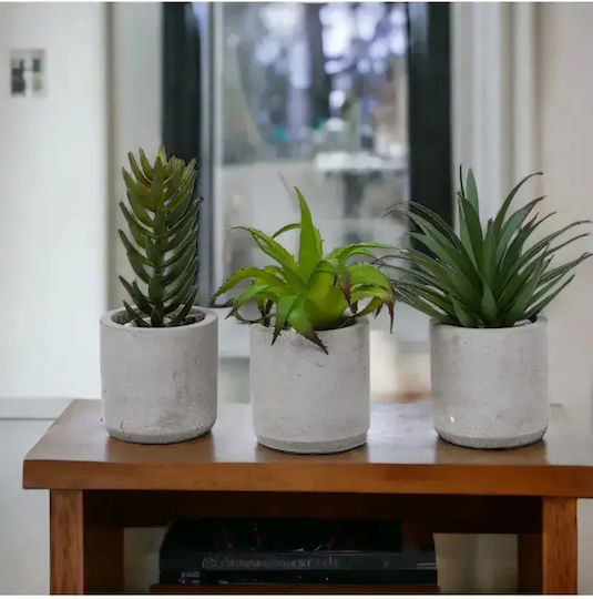 Stewehome Set 3 Bucăți Cactuși Artificiali Suculenti Modern Gri Vas Din Plastic