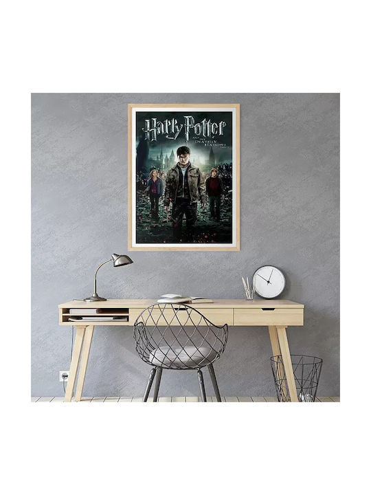 Harry Potter Deathly Hallows Part 2 Mv388 50cm X 70cm-71825pd159611