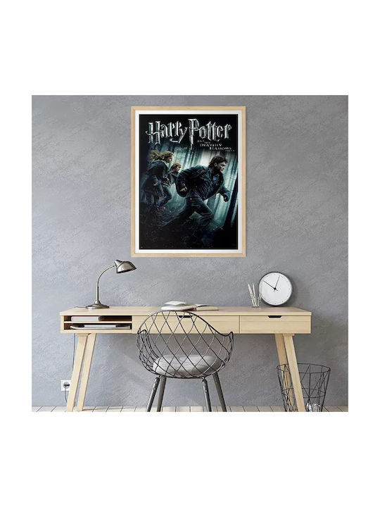 Harry Potter Deathly Hallows Part 1 Mv387 40cm X 50cm-71824pd159603