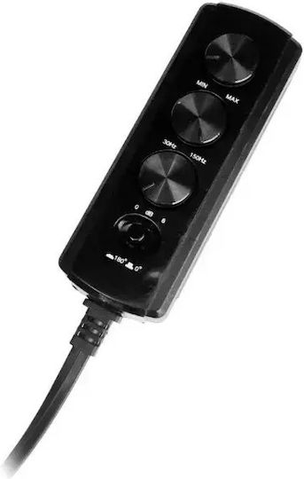 Macrom Aktiv Auto-Audio-Subwoofer 10" 350W Leistung (RMS)