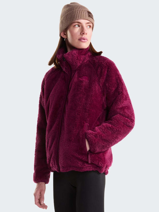 The North Face The North Face