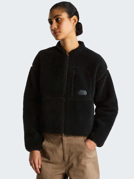 The North Face The North Face