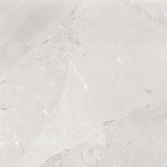 PPZ Plăci de Podea pentru Interior Finisaj Lucios 60x60cm Gri