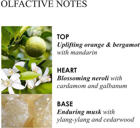 Reed Diffuser Refill Molton Brown Orange & Bergamot 150ml