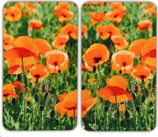 Decorative Glass Sticker 2 Pieces Wenko