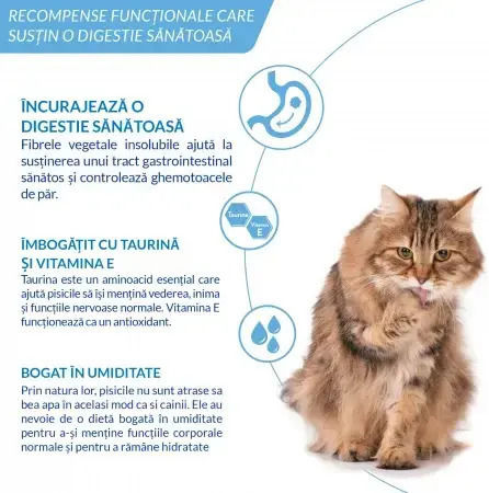Ciao Churu Hairball Control Creamy Cat Treat Salmon Hairball Control 4 x 14 g