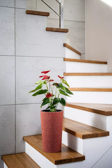 Adoni Plastic Red Flower Pot 36x36cm Adoni Plastic Red Flower Pot 36x36cm