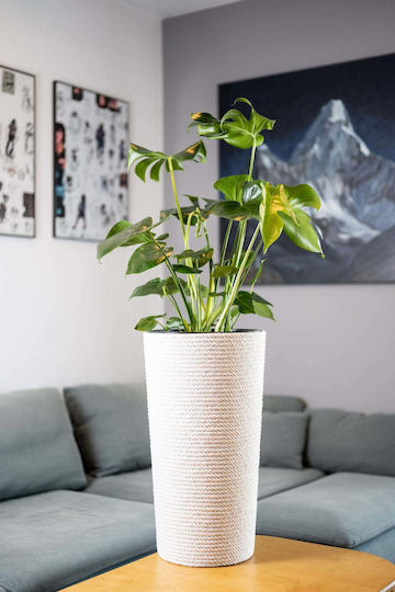 Adoni Bamboo White Flower Pot 32x57cm Adoni Bamboo White Flower Pot 32x57cm