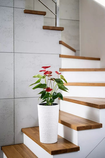Adoni Kunststoff-Blumentopf Weiß 22x36cm Adoni Kunststoff-Blumentopf Weiß 22x36cm