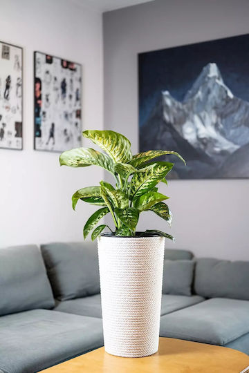 Adoni Kunststoff-Blumentopf Weiß 28x47cm
