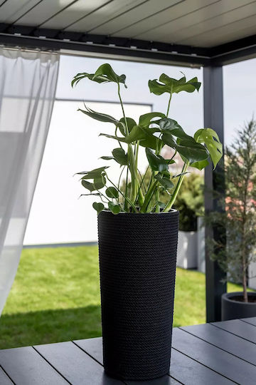 Adoni Bamboo Black Flower Pot 32x57cm