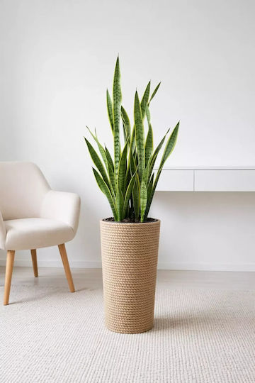 Adoni Plastic Flower Pot Natural 57x32x57cm