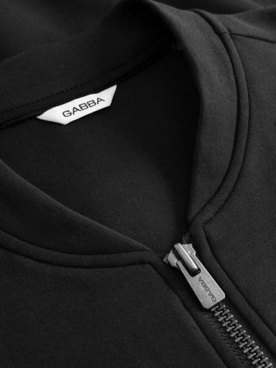 Jacket Meteorite