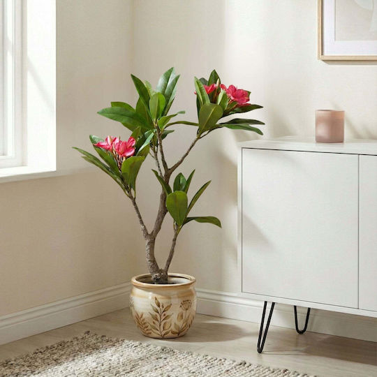 Magnolie Topfpflanze 90cm Verschiedene Designs Kaemingk