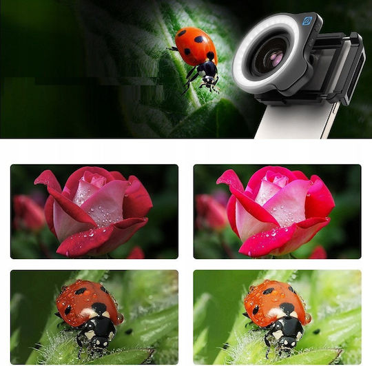 Apexel SB10203 Ring Light