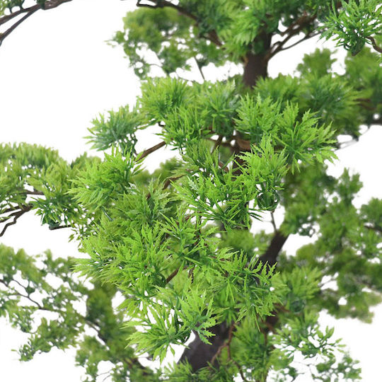 Bonsai in Topfpflanze 160cm
