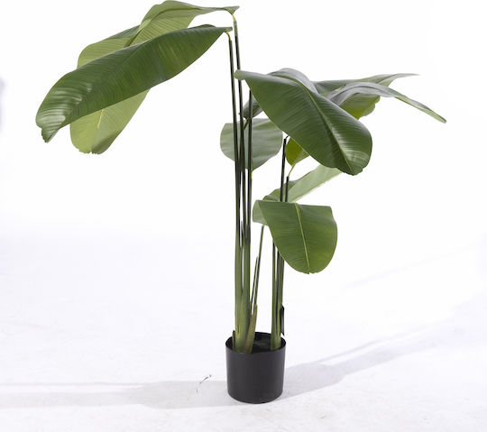 Πουλί του Παραδείσου Εξωτερικού Χώρου 180cm Supergreens