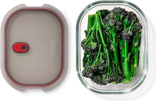 Blum Glass Black Lunch Box 1.2lt