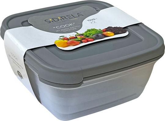 Sidirela Lunchbox Kunststoff Grey 2Stück