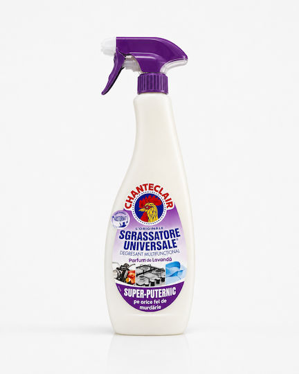 Chante Clair Professional All-Purpose Cleaner Spray General Use with Disinfectant Action 600ml
