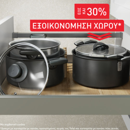 Tefal Excellence Saute Pan from Aluminum with Lid with Non-Stick Coating 24cm