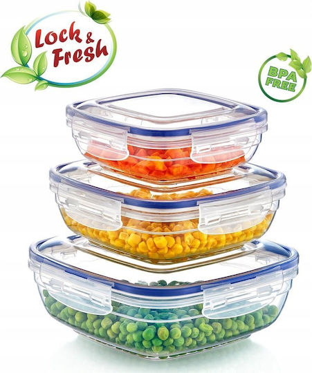 Katex Set of Transparent Silicone Lunch Boxes 3 Pieces