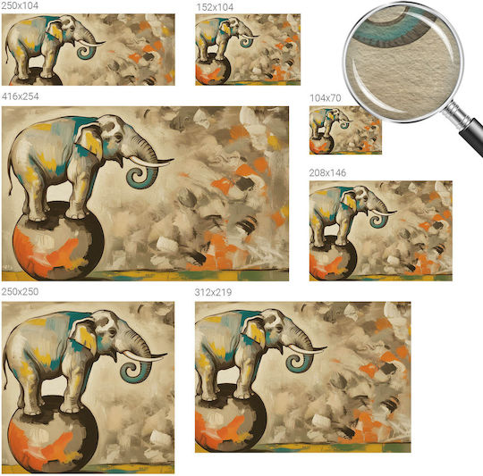 Tapetă Elefant Colorat O Minge 152x104