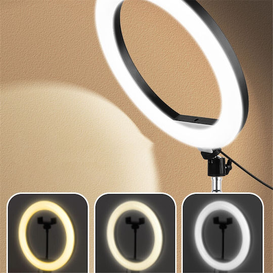 Ringlicht mit Schreibtisch Stativ