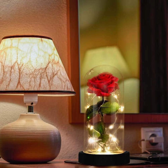 All Saints Red Rose 22cm with Led Springos