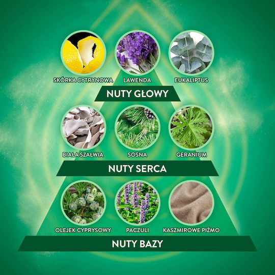 Air Wick Ätherische Öle Ersatz Für Elektrischen Raumduft Blau Eukalyptus Zedernholz 19 Ml