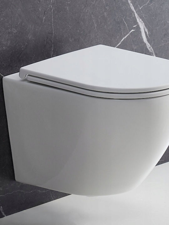Omnires Wandhängende Toilette mit Duroplast Weiß Abdeckung