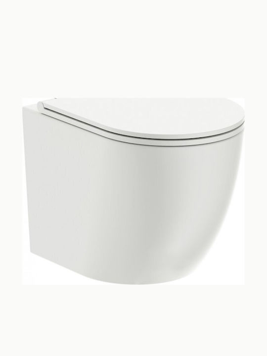 Omnires Wandhängende Toilette mit Duroplast Weiß Abdeckung