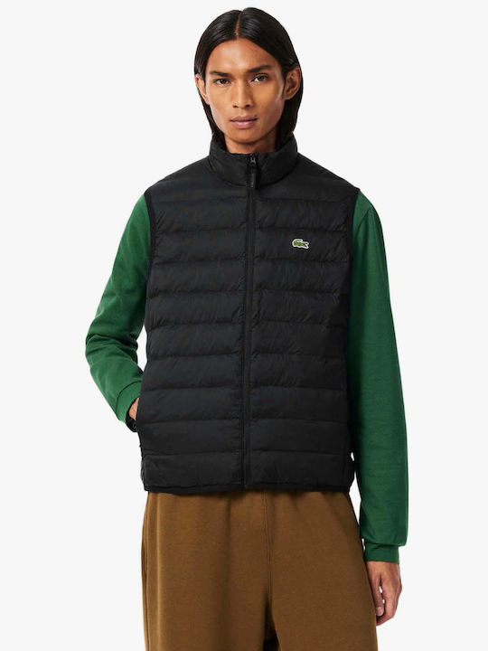 Lacoste Lacoste