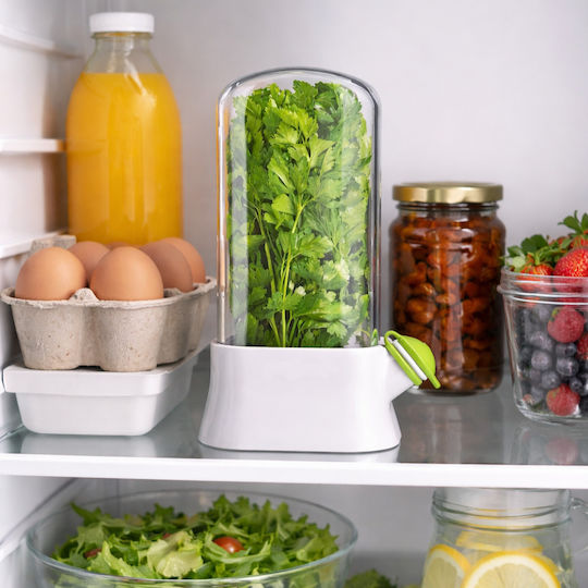 Unterstützung Zur Frischehaltung Von Pflanzen Im Kühlschrank Transparenter Deckel Behälter Zur Pflanzenerhaltung Hydrationssystem Modernes Küchendesign Wiederverwendbar Einfach Zu Verwenden 27x13 Cm Weiß