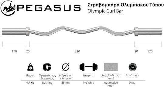 Pegasus Curl Bar Ø29mm 5kg Length 2.8cm with Spinlock Collars