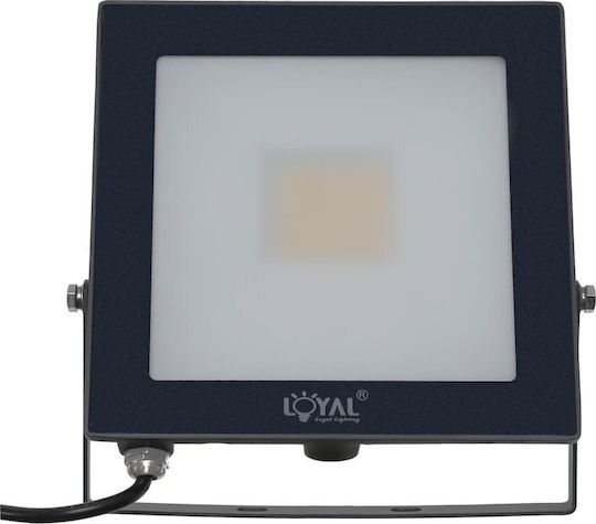 Loyal Lighting Водоустойчив LED прожектор 30W Неутрално бяло 4000K IP65
