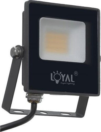 Loyal Lighting Светодиоден Прожектор 10W Неутрално Бяло 4000K IP65 Водоустойчив