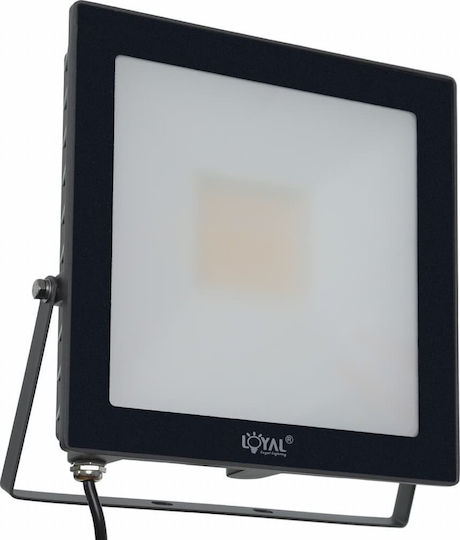 Loyal Lighting Светещ Водоустойчив LED Прожектор 50W Неутрално Бяло 4000K IP65