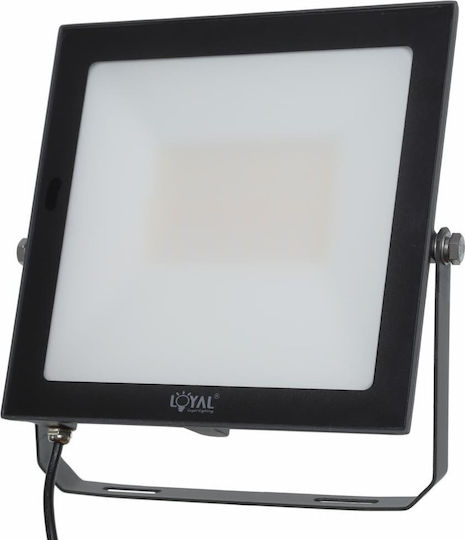 Loyal Lighting Светещ Водоустойчив LED Прожектор 50W Неутрално Бяло 4000K IP65