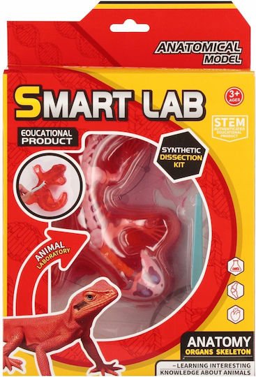 Mega Creative Construction Toy for Children 3+ Years