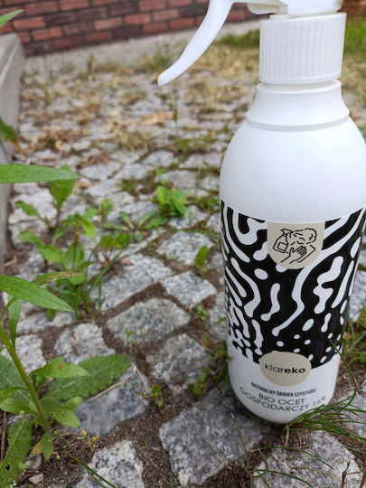 Klareko Briochin Allzweckreiniger Flüssig Allgemeine Verwendung 500ml