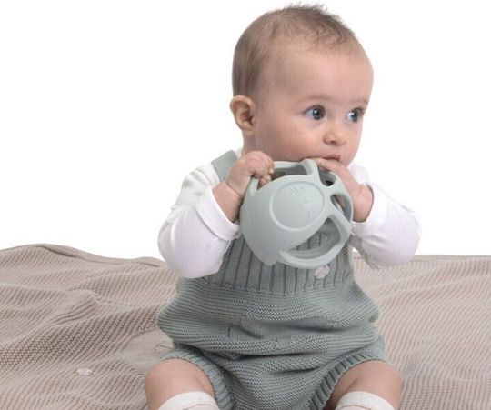 Chicco Silicone Teether for 0 m+