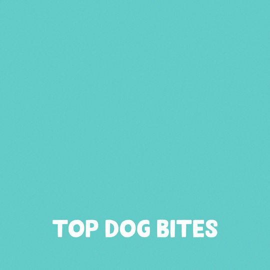 Edgard Cooper Dog Treat Without Grains With Lamb And Turkey 50gr