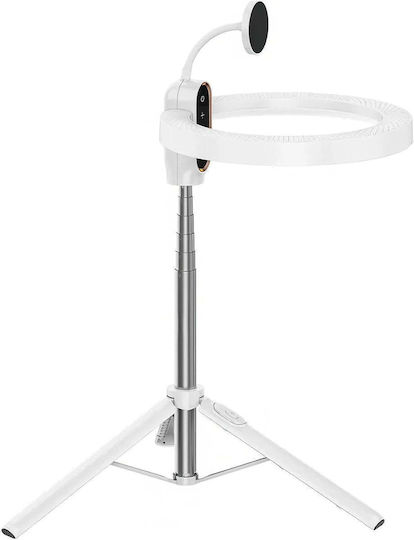 Ulanzi Ringlicht 26,8cm