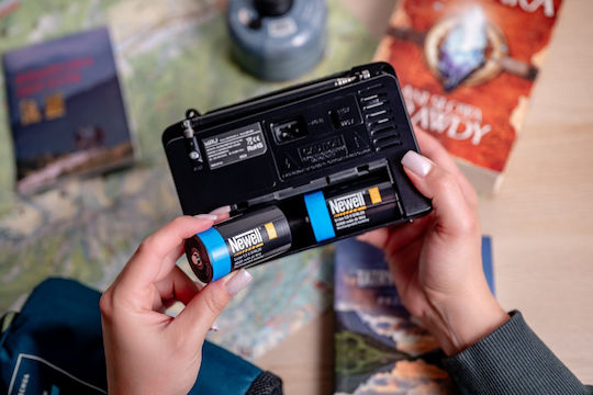Newell Wiederaufladbare Batterien D Li-Ion 4000mAh 1,5V 2 Stück