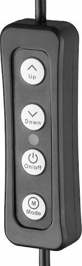 Freepower Basis