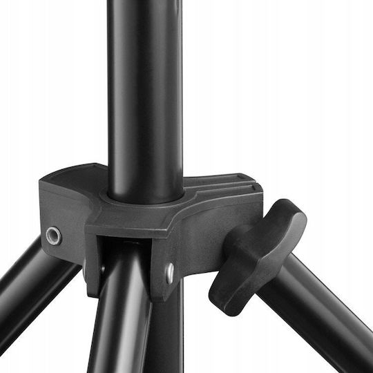 Freepower Basis