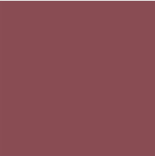 Wet n Wild Color Icon Lippenkonturenstift Lipliner