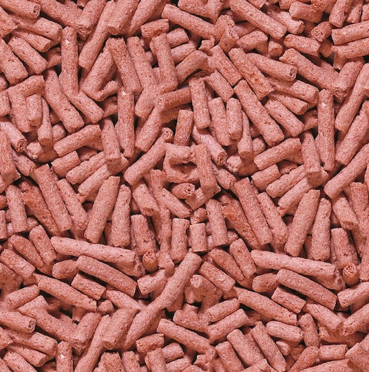 Sera Pond Color Sticks Fischfutter für Süßwasserfische in Stöcken mit Spirulina